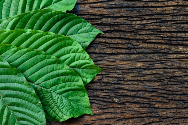 Navigating the Local Kratom Market Tips for a Successful Purchase