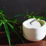 Exploring CBD Cream for Beauty and Skincare Unlocking Radiant Complexion